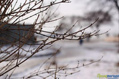 Владивосток в воскресенье оказался одной из самых холодных точек в крае