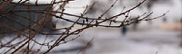 Владивосток в воскресенье оказался одной из самых холодных точек в крае