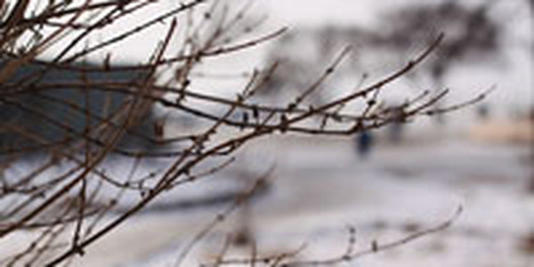 Владивосток в воскресенье оказался одной из самых холодных точек в крае