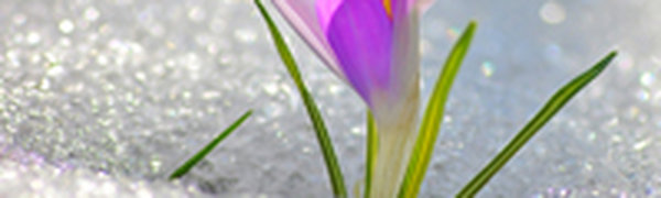 Какую погоду ждать в выходные дни?