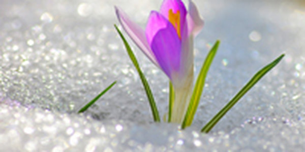 Какую погоду ждать в выходные дни?