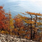 Великолепие осени в Приморье: октябрь в Сихотэ-Алинском заповеднике