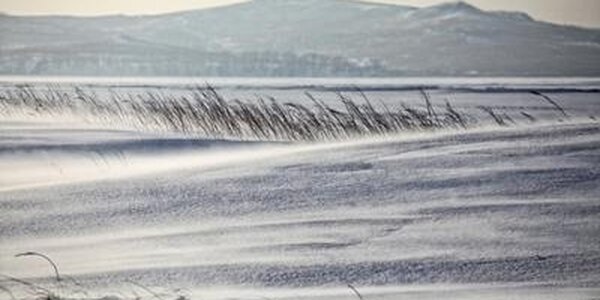 Снежный покров высотой до 30 см образовался в Пожарском и Красноармейском районах Приморья