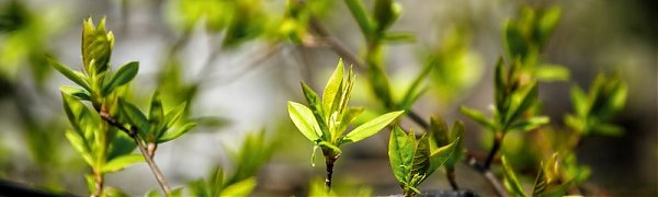 В Приморье сохраняется жаркая погода