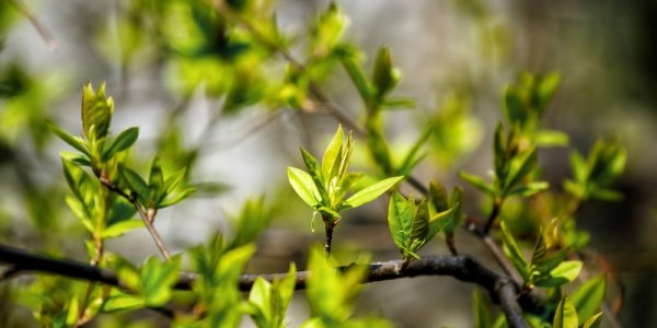 В Приморье сохраняется жаркая погода