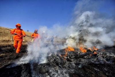 В Забайкальском крае стремительно растет площадь лесных пожаров