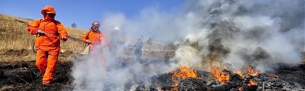 В Забайкальском крае стремительно растет площадь лесных пожаров