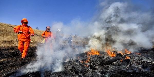 В Забайкальском крае стремительно растет площадь лесных пожаров