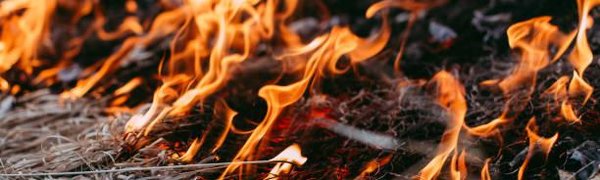 Из-за тёплой погоды в Приморье выросла опасность лесных пожаров