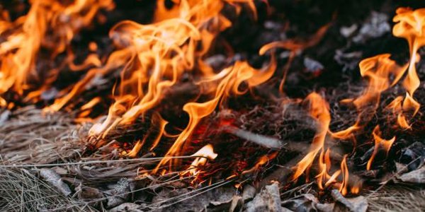 Из-за тёплой погоды в Приморье выросла опасность лесных пожаров