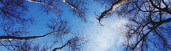 Синоптики рассказали, какой будет погода в ноябре