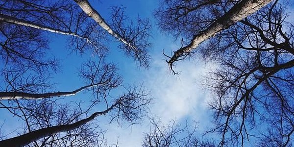 Синоптики рассказали, какой будет погода в ноябре