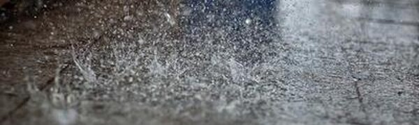 Западную половину Приморья дожди накрыли сегодня ночью