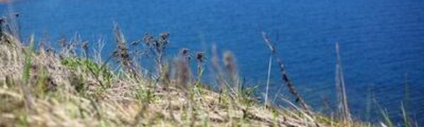 Во вторник антициклон охладит воздух на побережье Приморья