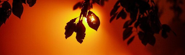 На выходных больше всего осадков придется на южные и западные районы Приморья