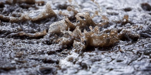 Критической отметки достигнет уровень воды в Приморье из-за дождей