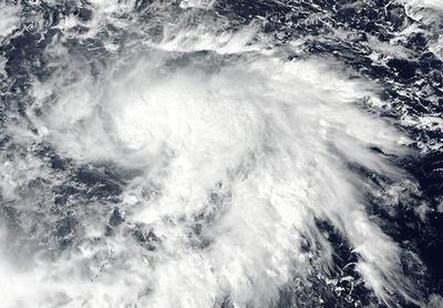 Тайфун «Лан» повлияет на ветровой режим Приморья