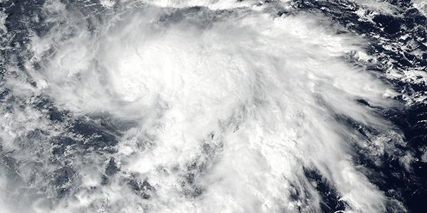 Тайфун «Лан» повлияет на ветровой режим Приморья