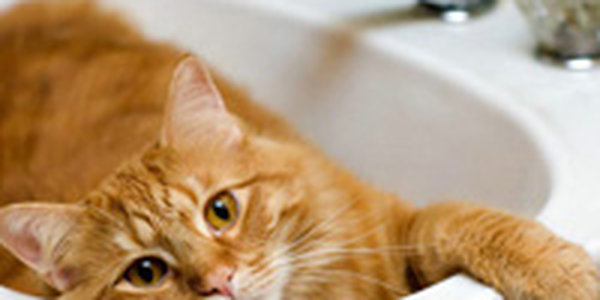 Сегодня большая часть Владивостока останется без горячей воды: График отключений