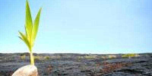 Россияне стали жить на год дольше