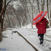 Сегодня в Приморье пройдет местами небольшой и умеренный снег