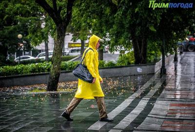 Во Владивостоке в субботу ожидается сильный дождь