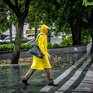 Во Владивостоке в субботу ожидается сильный дождь