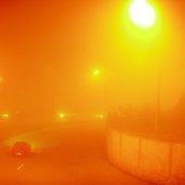Во Владивостоке ожидаются кратковременные дожди и туман