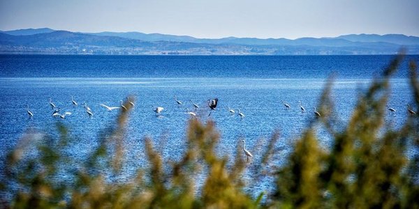 Синоптики рассказали о погоде в Приморье и Владивостоке в первую рабочую неделю сентября