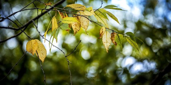 На выходных в Приморье увеличится перепад температур