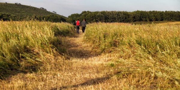 В воскресенье в Приморье жара спадет, пройдут грозовые дожди