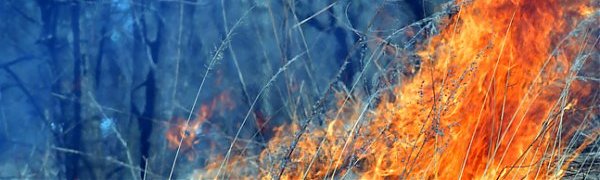 Площадь пожаров в Забайкалье выросла вдвое