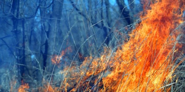 Площадь пожаров в Забайкалье выросла вдвое