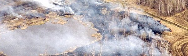 Пожары в России: вид из космоса