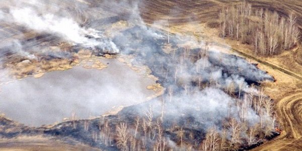 Пожары в России: вид из космоса