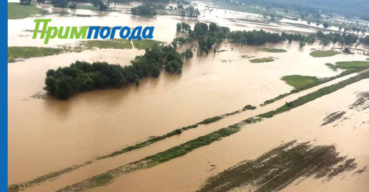 Название сильных обильных дождей на дальнем востоке. Затопленный Уссури. Новопокровка Приморский край наводнение. Уссурийская Тайга наводнения. Обильная река Приморский.