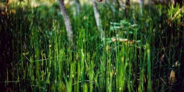 Сентябрь в Приморье завершается теплой погодой