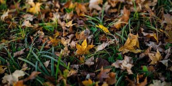 Погода в Приморье резко ухудшится на следующей неделе