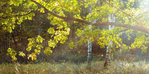 Жара в континентальных районах и прохлада на побережье: всё о погоде в Приморье в среду