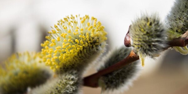 В начале следующей недели во Владивостоке погода без осадков