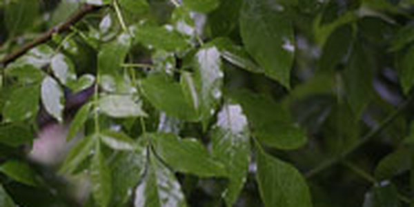 В июне в прибрежных районах практически не было тепла