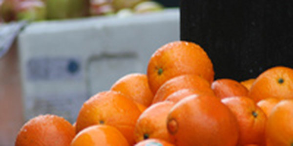 Минувшей ночью в Приморье начался рост атмосферного давления