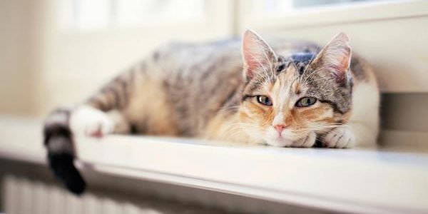 Энергетики Приморья готовы начать отопительный сезон