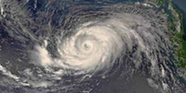 В Тихом океане зародился  тайфун VAMCO