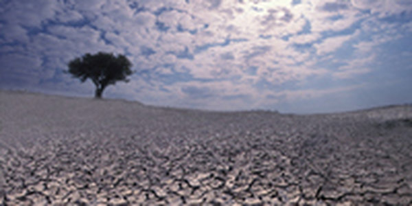 В Приморье скоро произойдет массовое вымирание