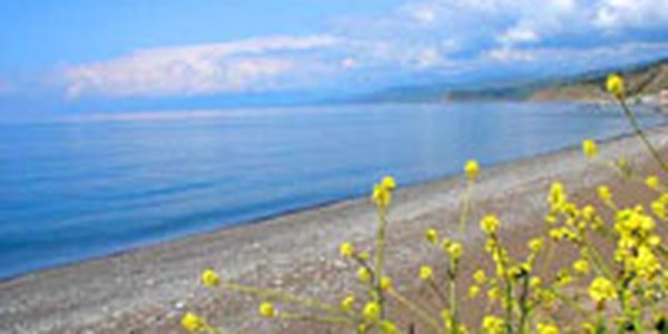 Предстоящая неделя в Приморье обещает быть теплой