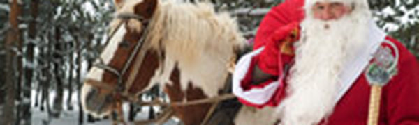 Дед Мороз отказался участвовать в конгрессе Санта-Клаусов