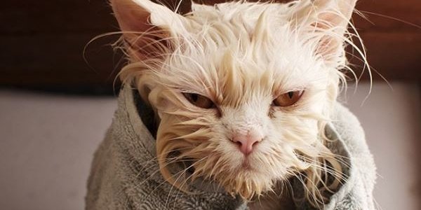 Во Владивостоке продлили сроки отключения горячей воды