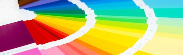 Названы главные цвета этой осени