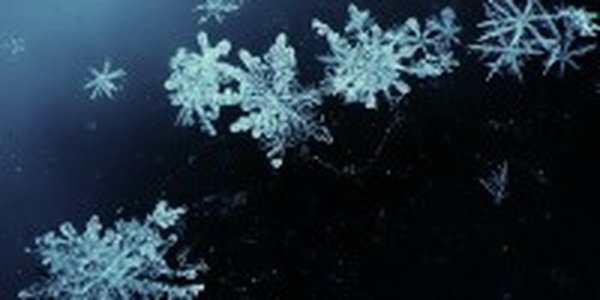 Приморье: Зима в зените